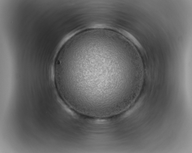 X0000115240839200911061146