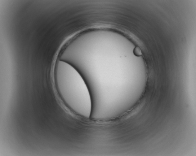 X0000115240840200911061146