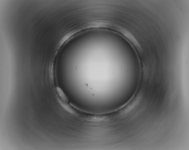 X0000115240842200911061146