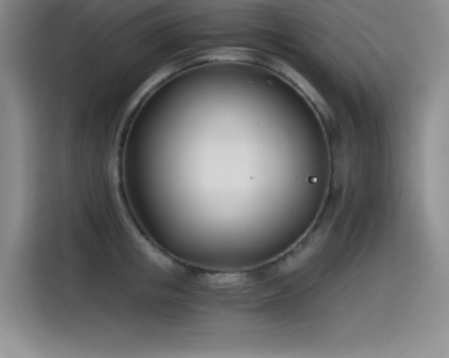 X0000115240853200911061146