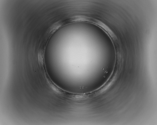 X0000115240857200911061146