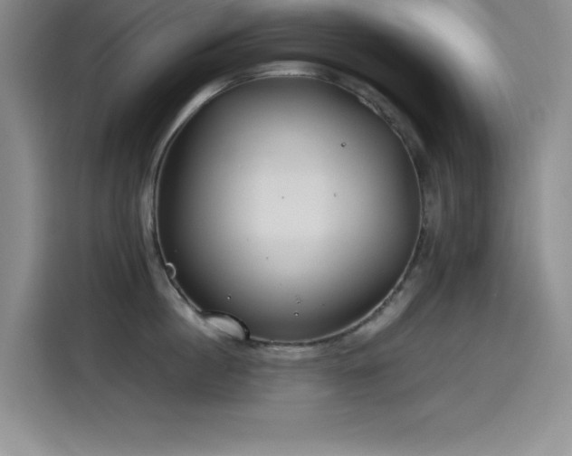 X0000115240860200911061146