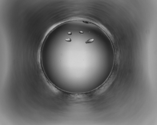 X0000115240862200911061146
