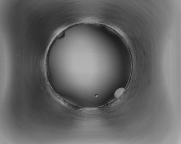 X0000115240864200911061146