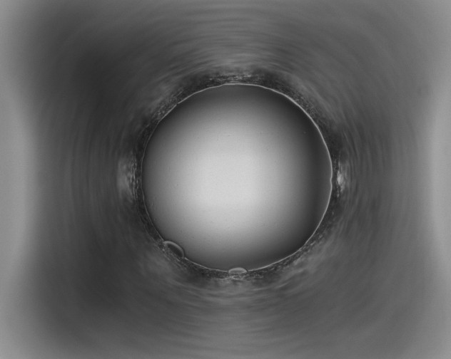 X0000115240867200911061145