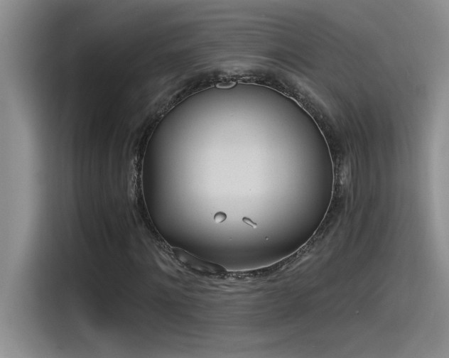 X0000115240868200911061145