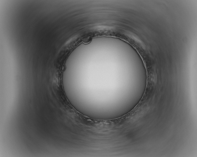 X0000115240869200911061145