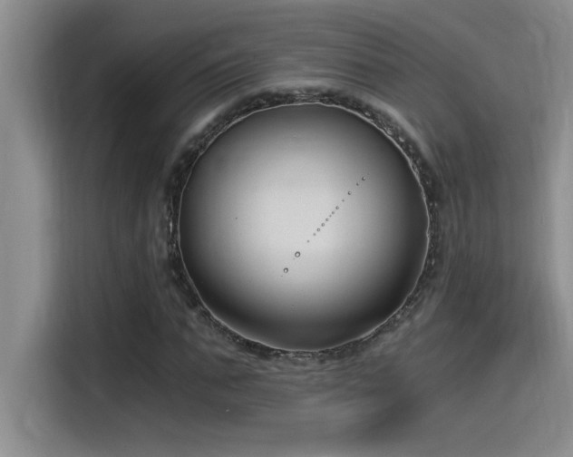 X0000115240871200911061145