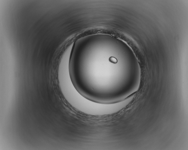 X0000115240872200911061145
