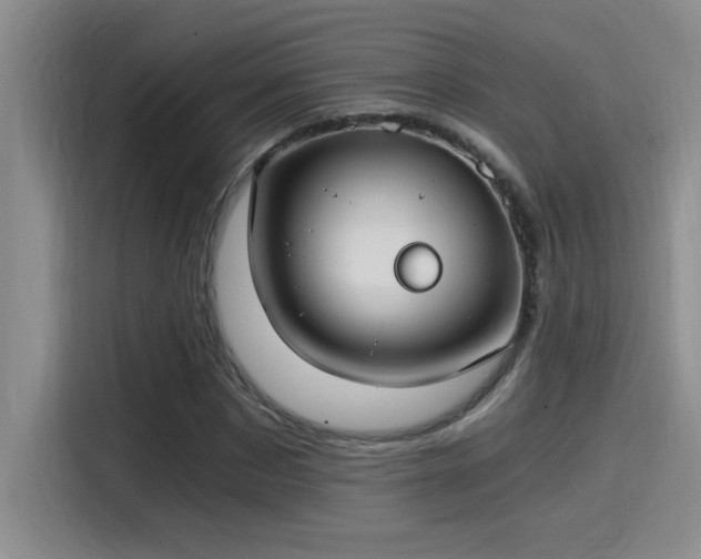 X0000115240873200911061145
