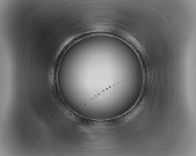 X0000115240875200911061145