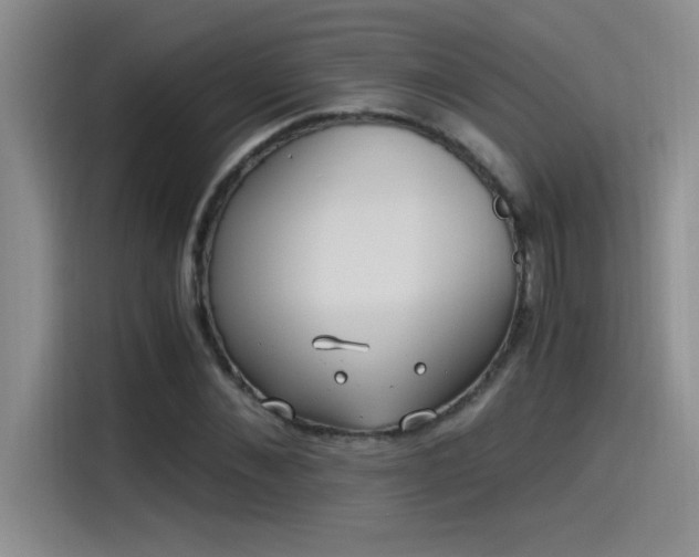 X0000115240876200911061145