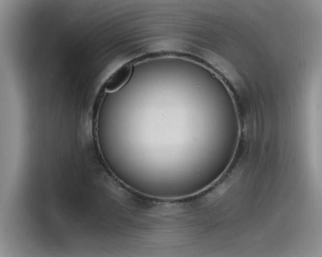 X0000115240877200911061145