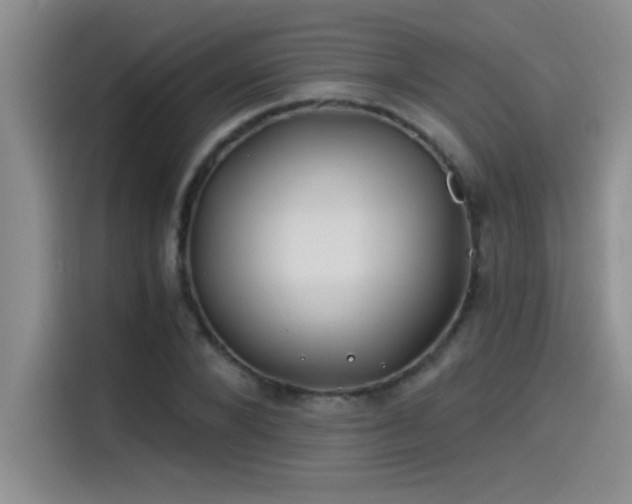 X0000115240880200911061145
