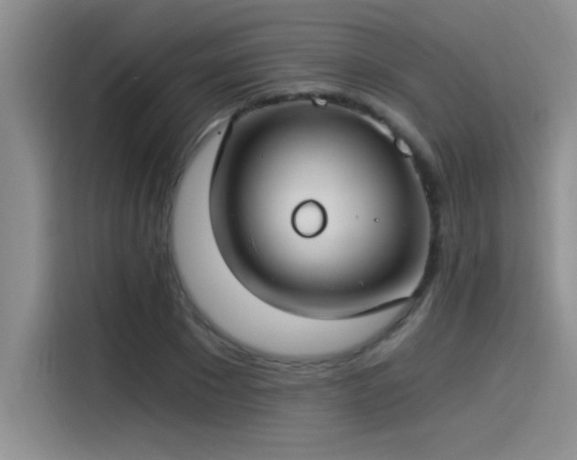 X0000115240881200911061145