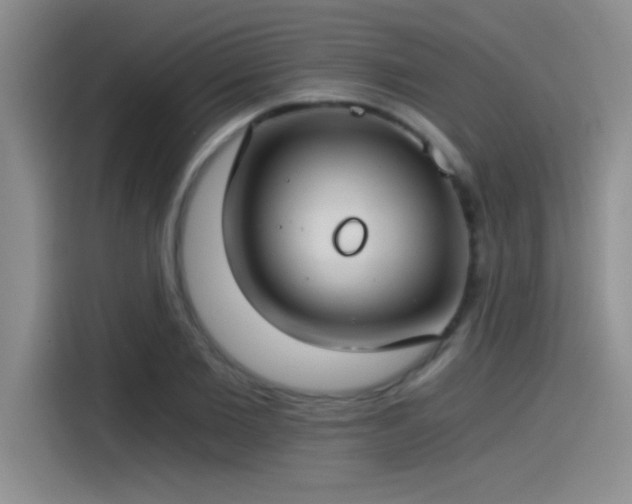 X0000115240885200911061145