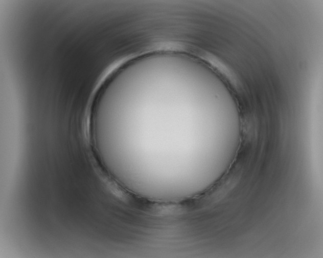X0000115240886200911061145