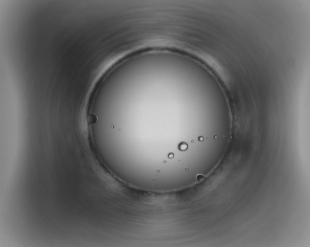 X0000115240887200911061145