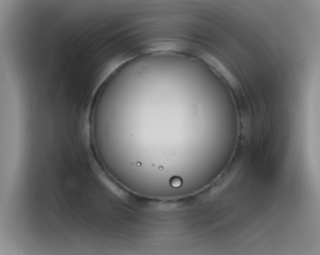 X0000115240890200911061145