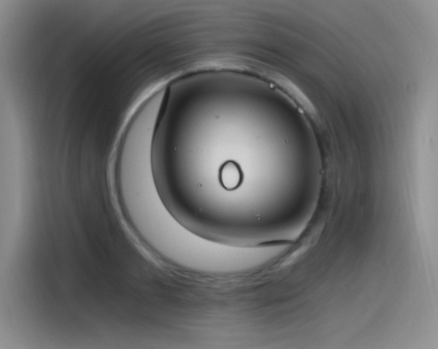X0000115240893200911061145