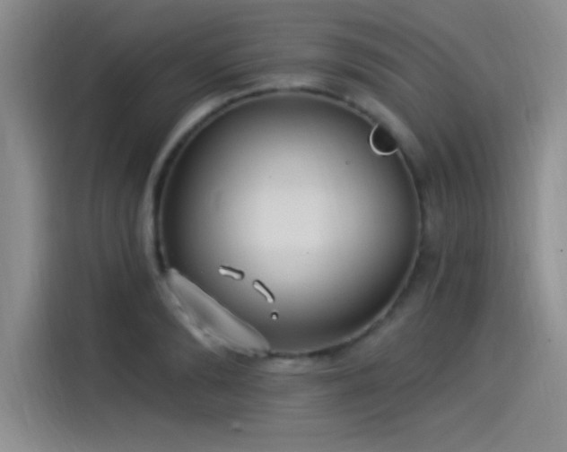 X0000115240894200911061145