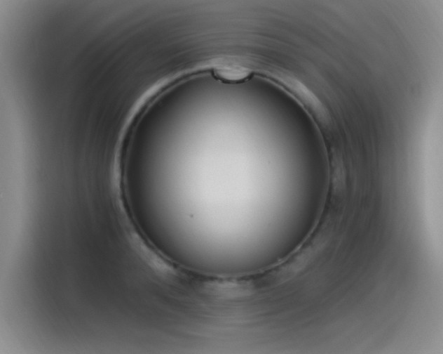 X0000115240896200911061145