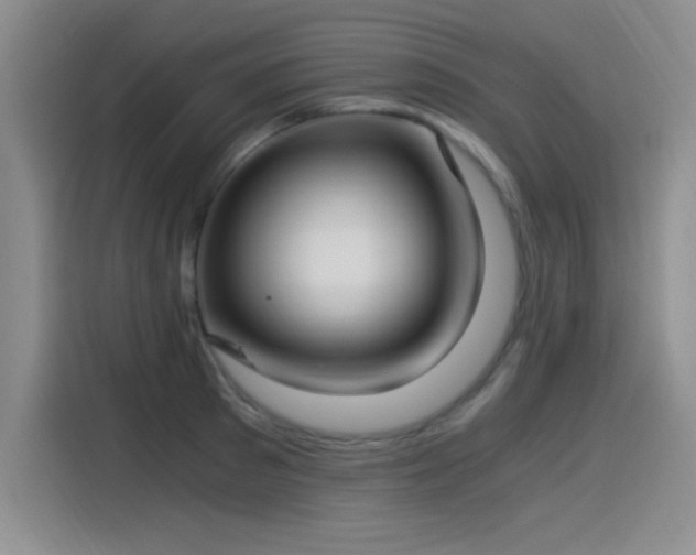 X0000115240897200911061145