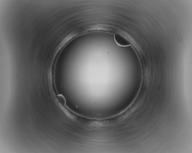 X0000115240898200911061145