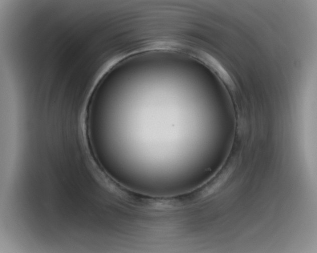 X0000115240899200911061145