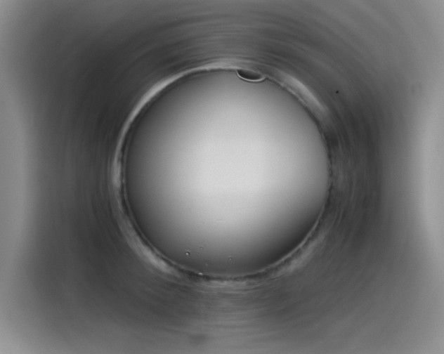X0000115240900200911061145