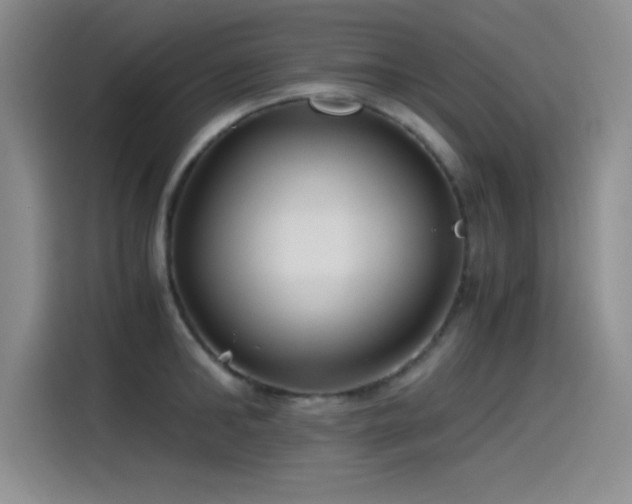 X0000115240902200911061145