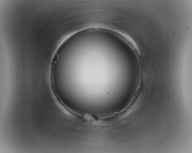 X0000115240903200911061145