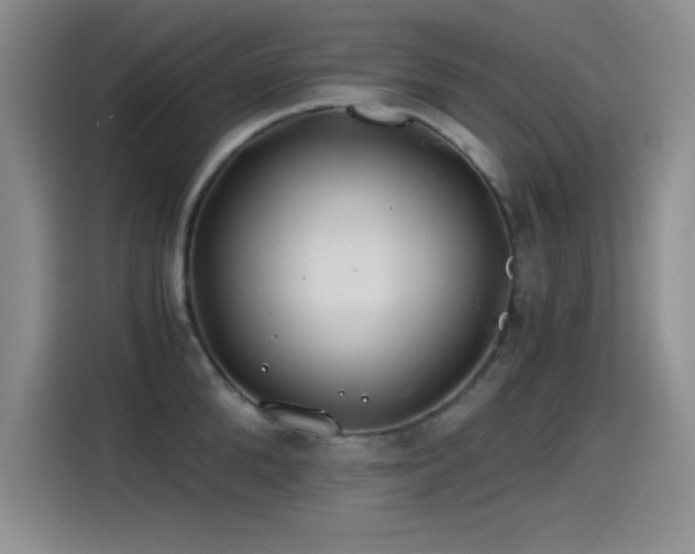 X0000115240904200911061145