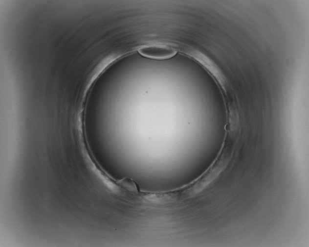 X0000115240906200911061145