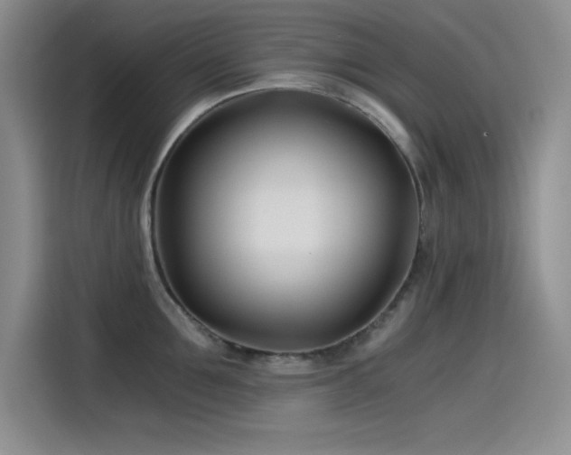 X0000115240907200911061145