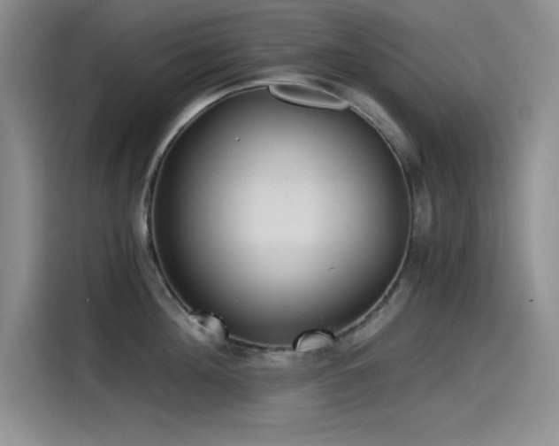 X0000115240908200911061145