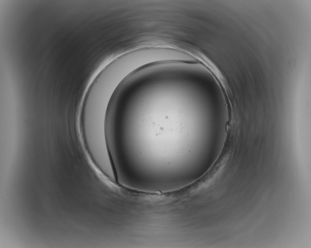 X0000115240909200911061145
