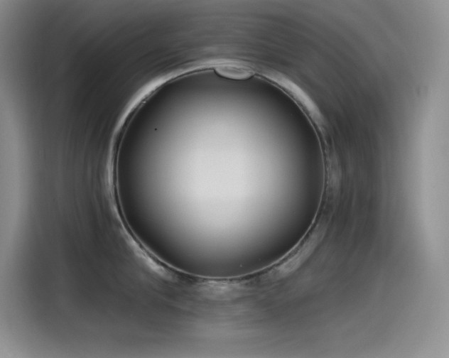 X0000115240910200911061145