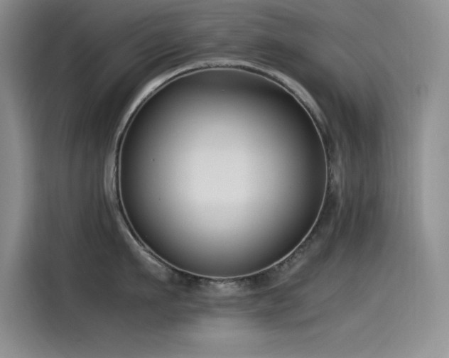 X0000115240911200911061145