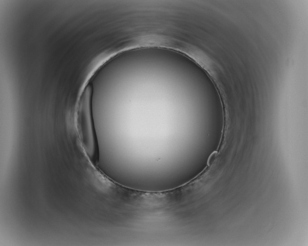 X0000115240912200911061145