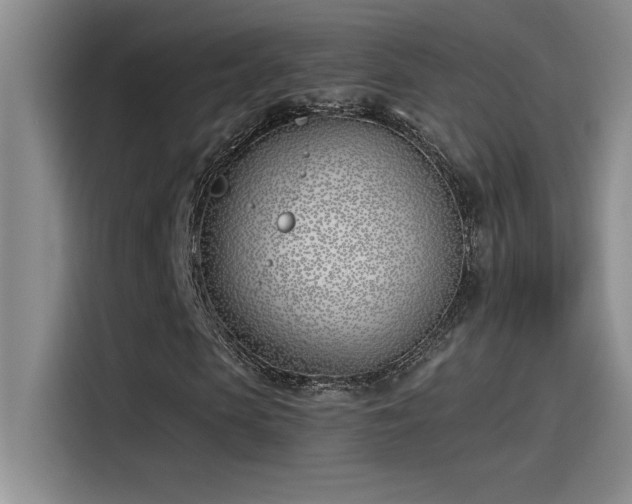 X0000115240913200911061144