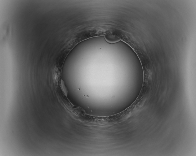 X0000115240914200911061144