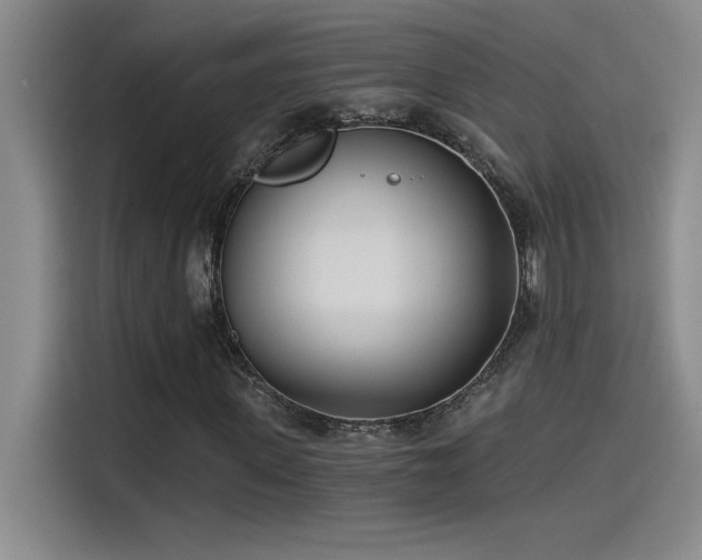 X0000115240915200911061144
