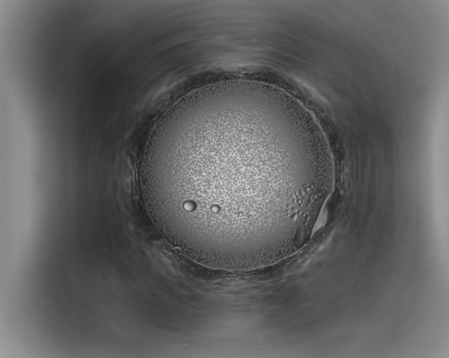 X0000115240917200911061144