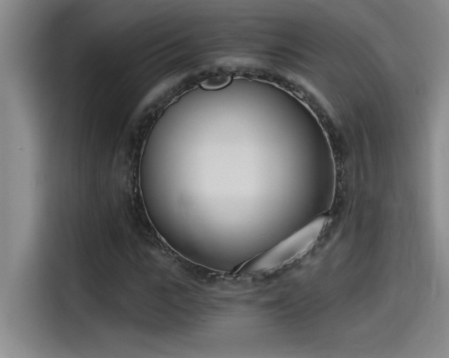 X0000115240919200911061144