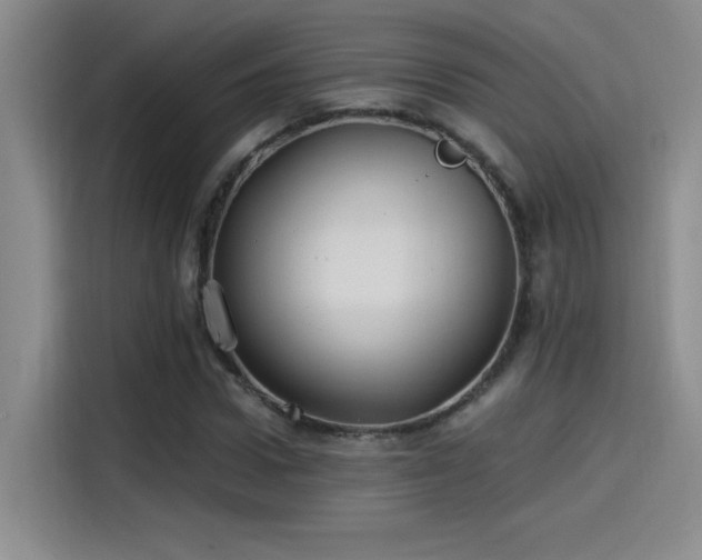 X0000115240922200911061144