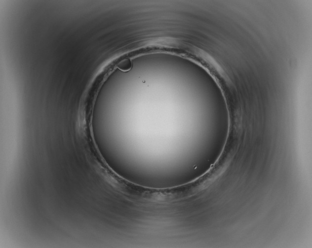 X0000115240923200911061144