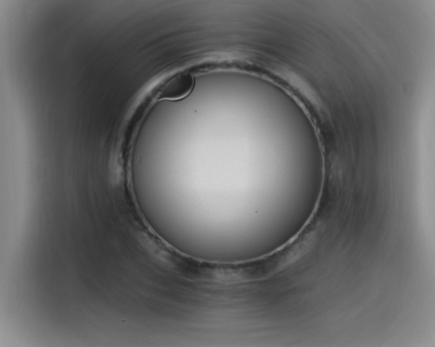X0000115240927200911061144