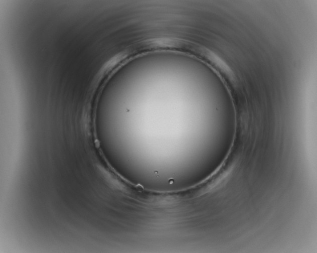 X0000115240930200911061144