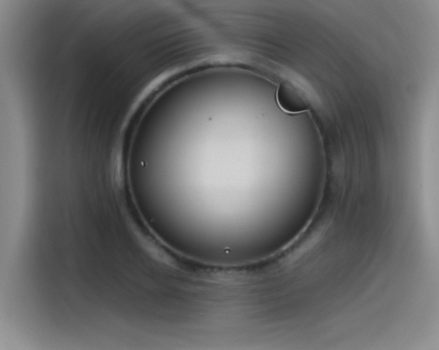 X0000115240934200911061144